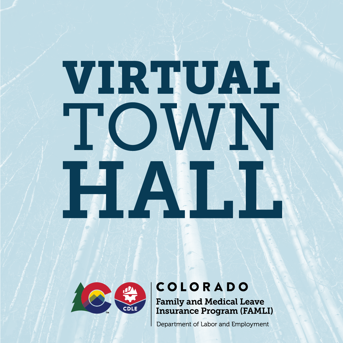 Virtual Town Hall