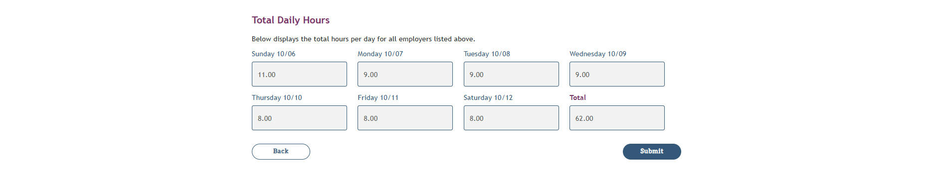 The Total Daily Hours field of the Report Your Leave Hours page.